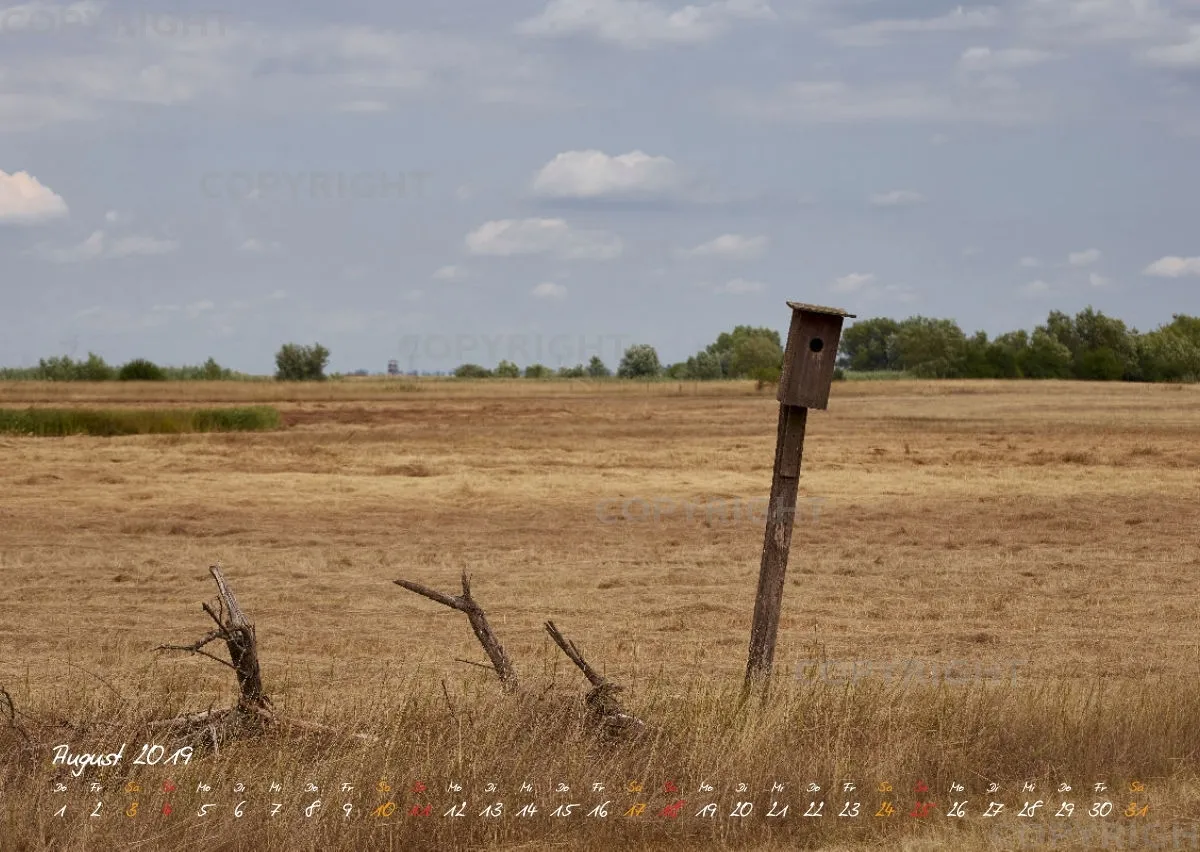 Puszta