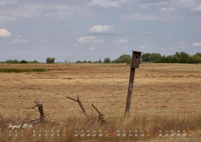 Puszta