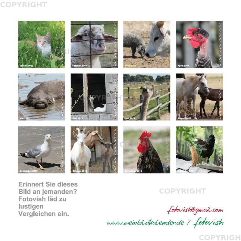 Fotokalender / Nr. 24