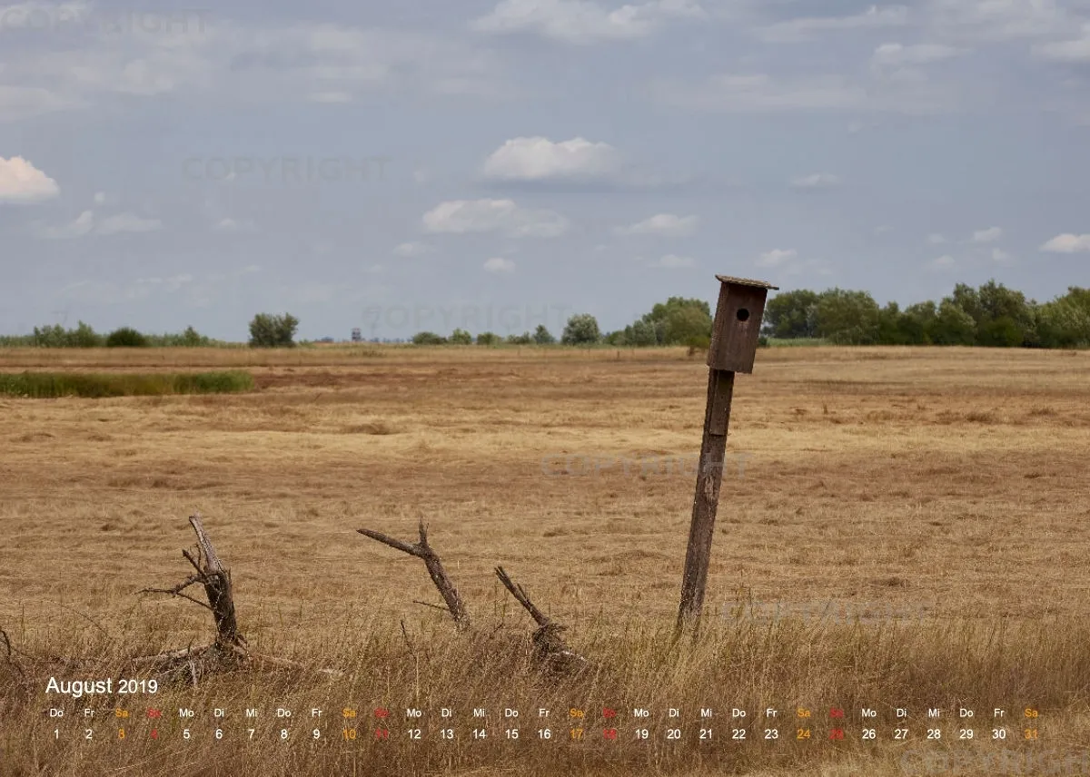 Puszta