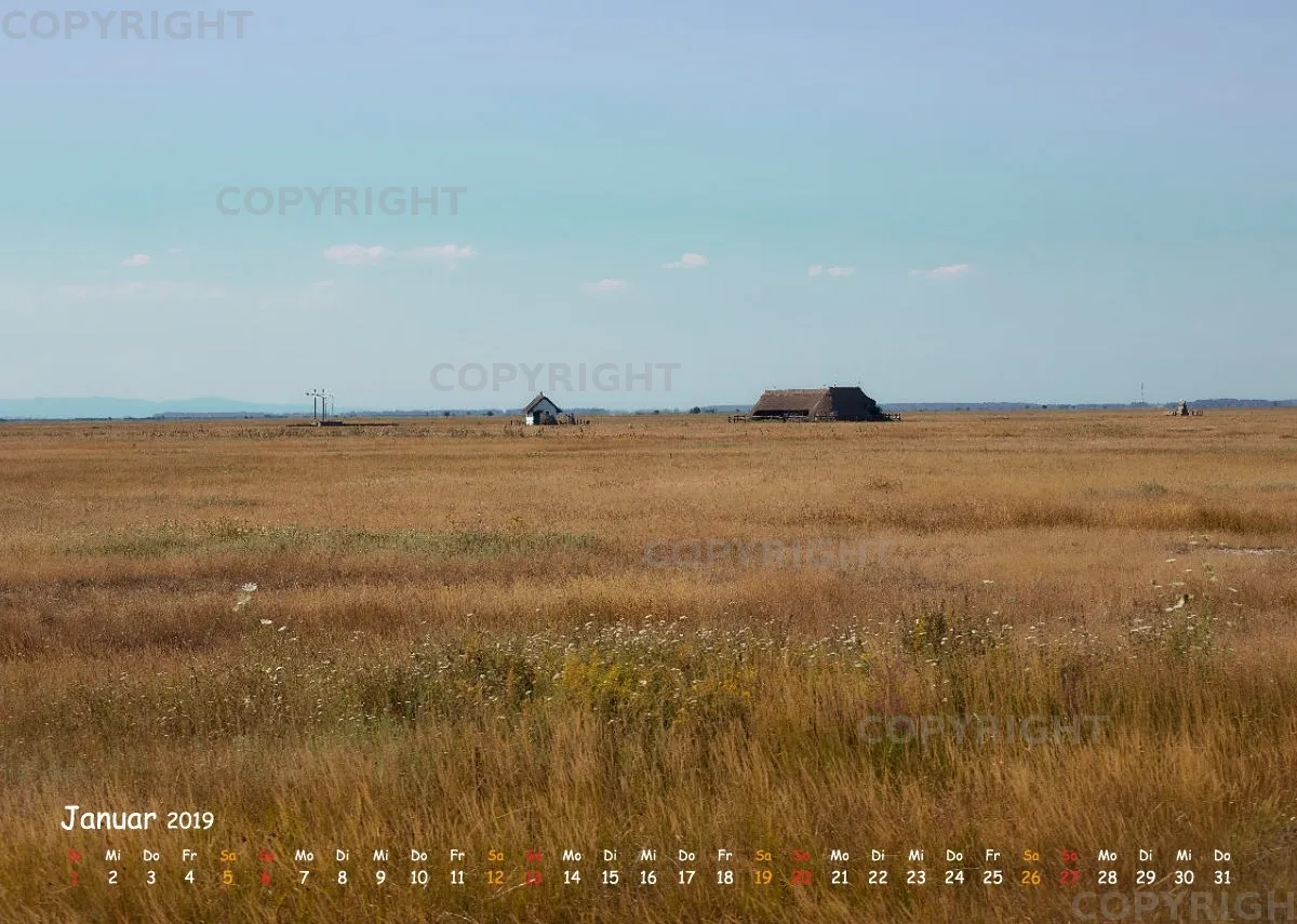 Puszta
