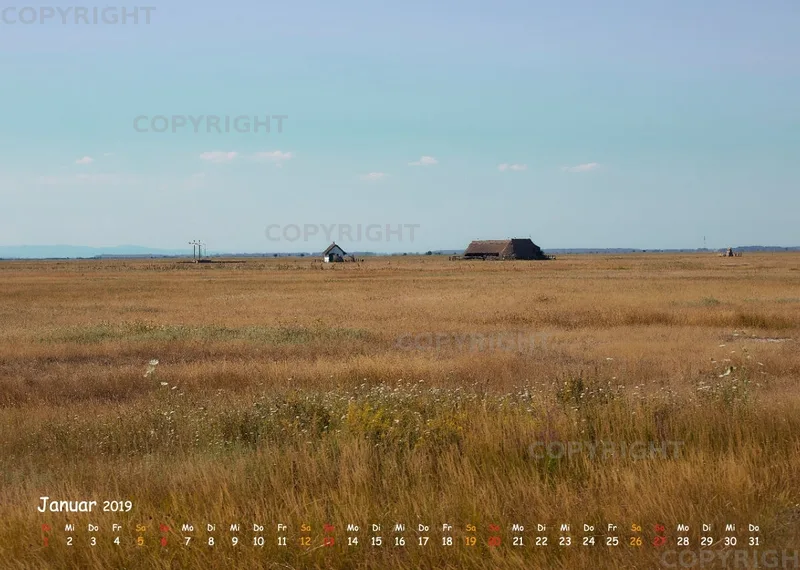 Puszta