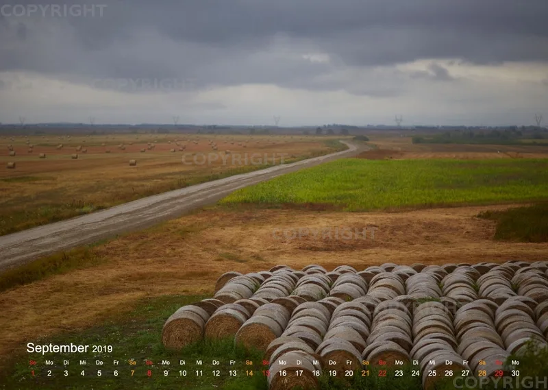 Puszta