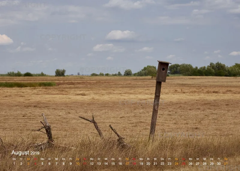 Puszta