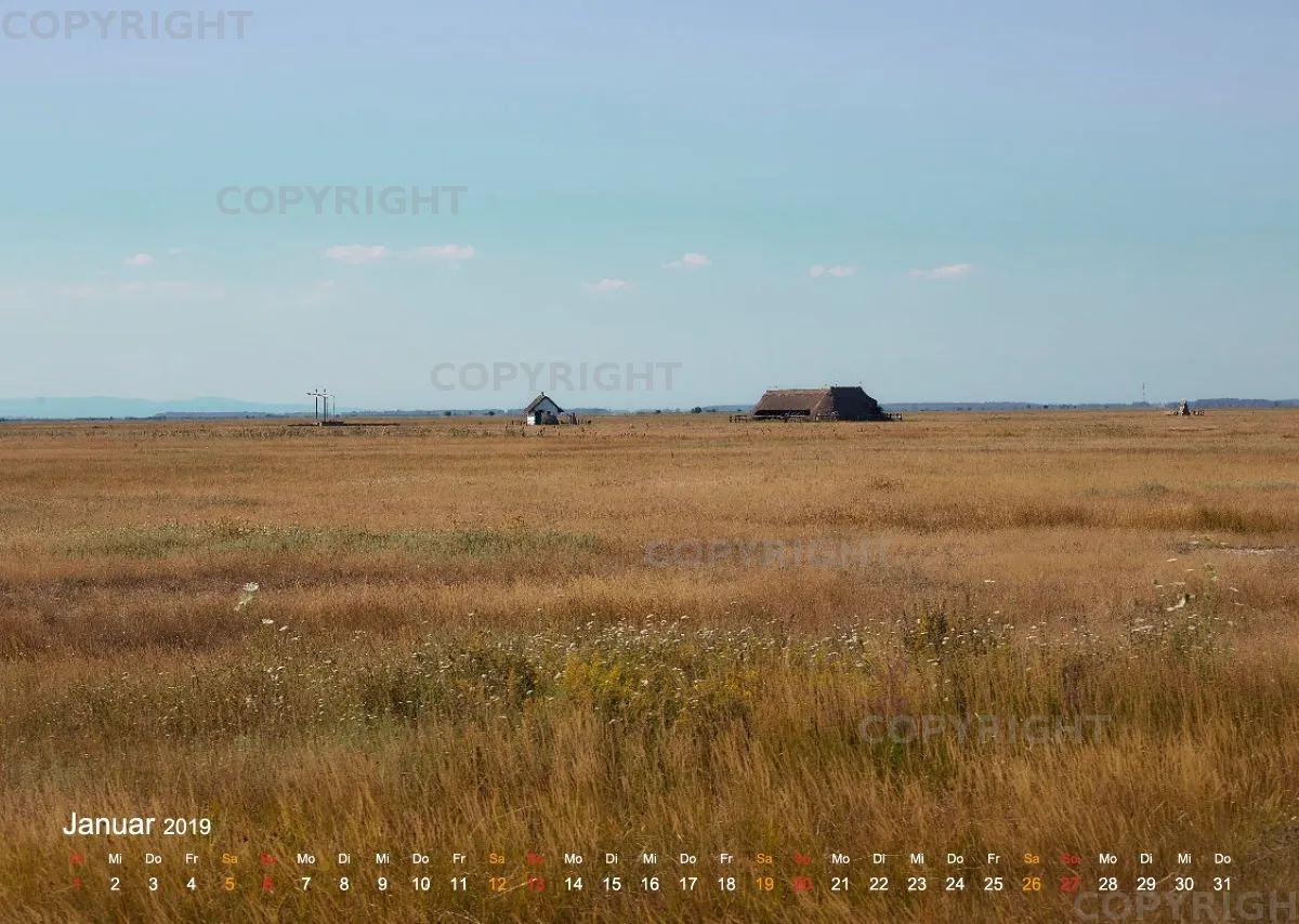 Puszta