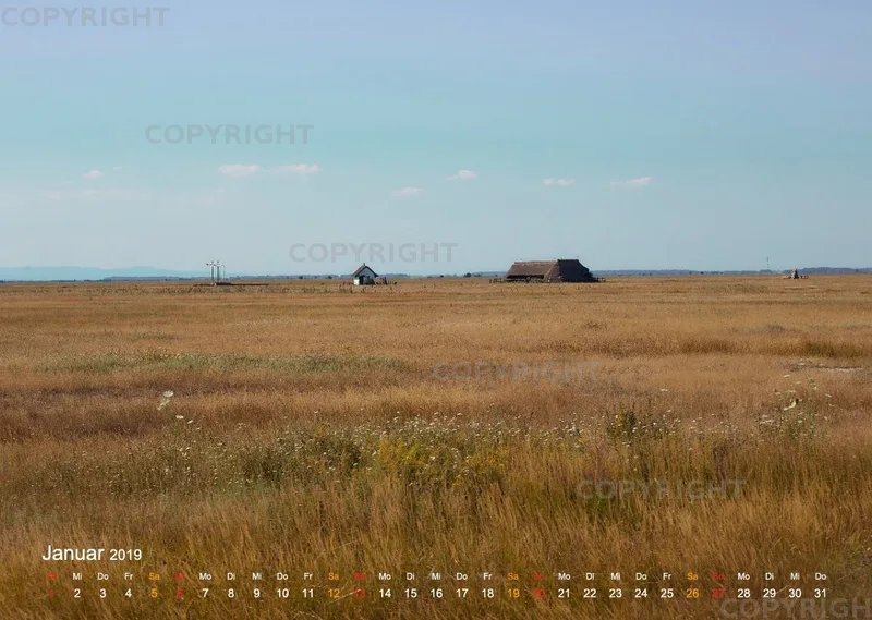 Puszta