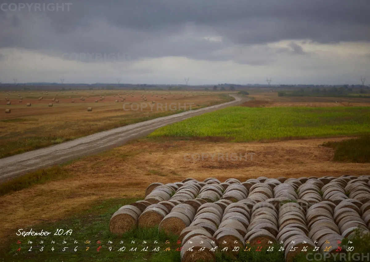 Puszta