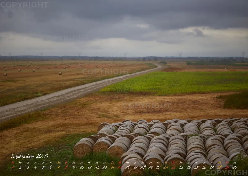 Puszta