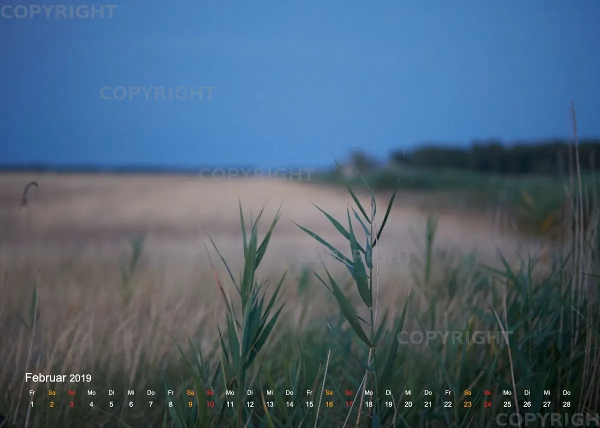 Puszta