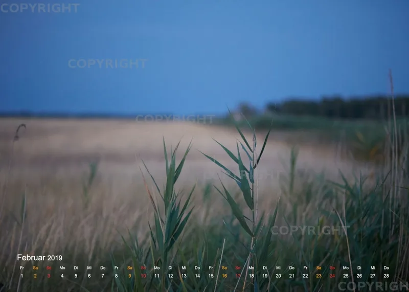 Puszta