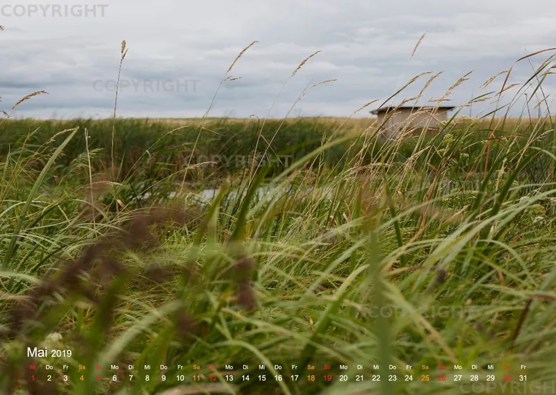 Puszta