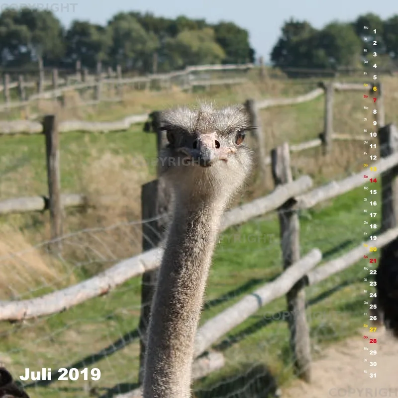 Fotokalender / Nr. 24