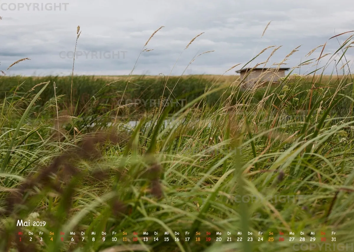 Puszta