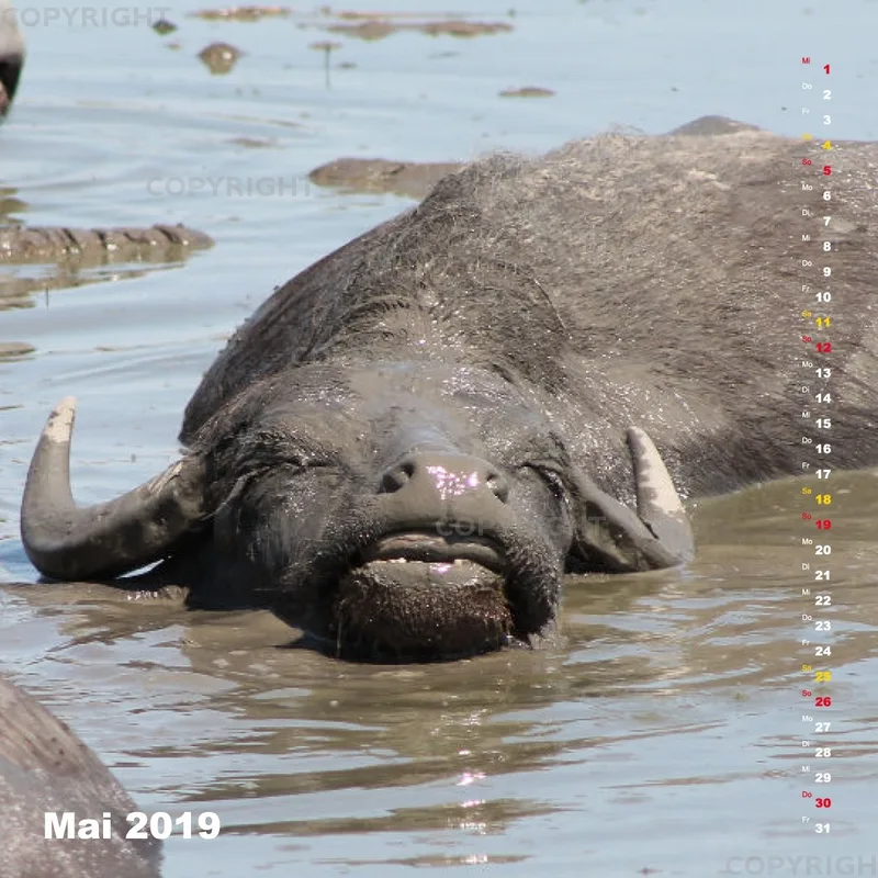 Fotokalender / Nr. 24