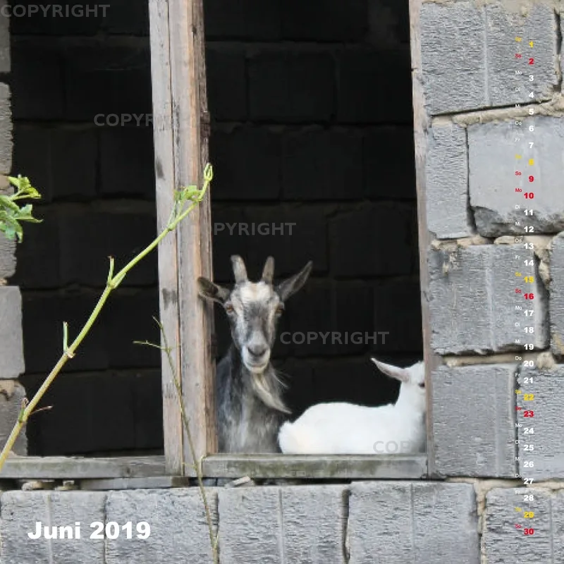 Fotokalender / Nr. 24