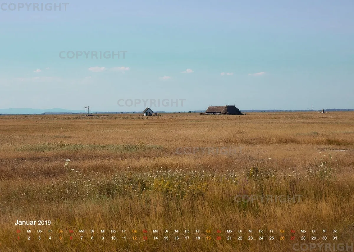 Puszta