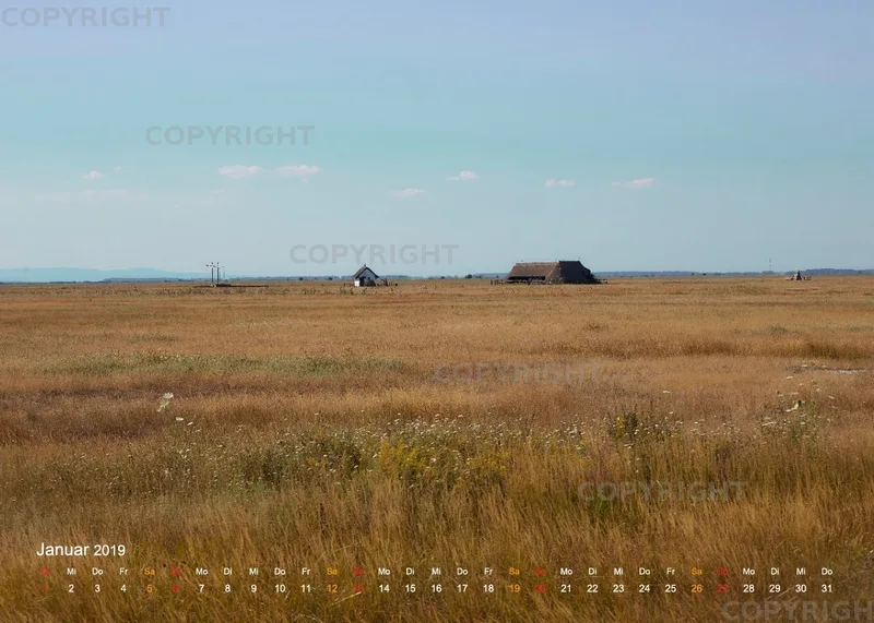 Puszta