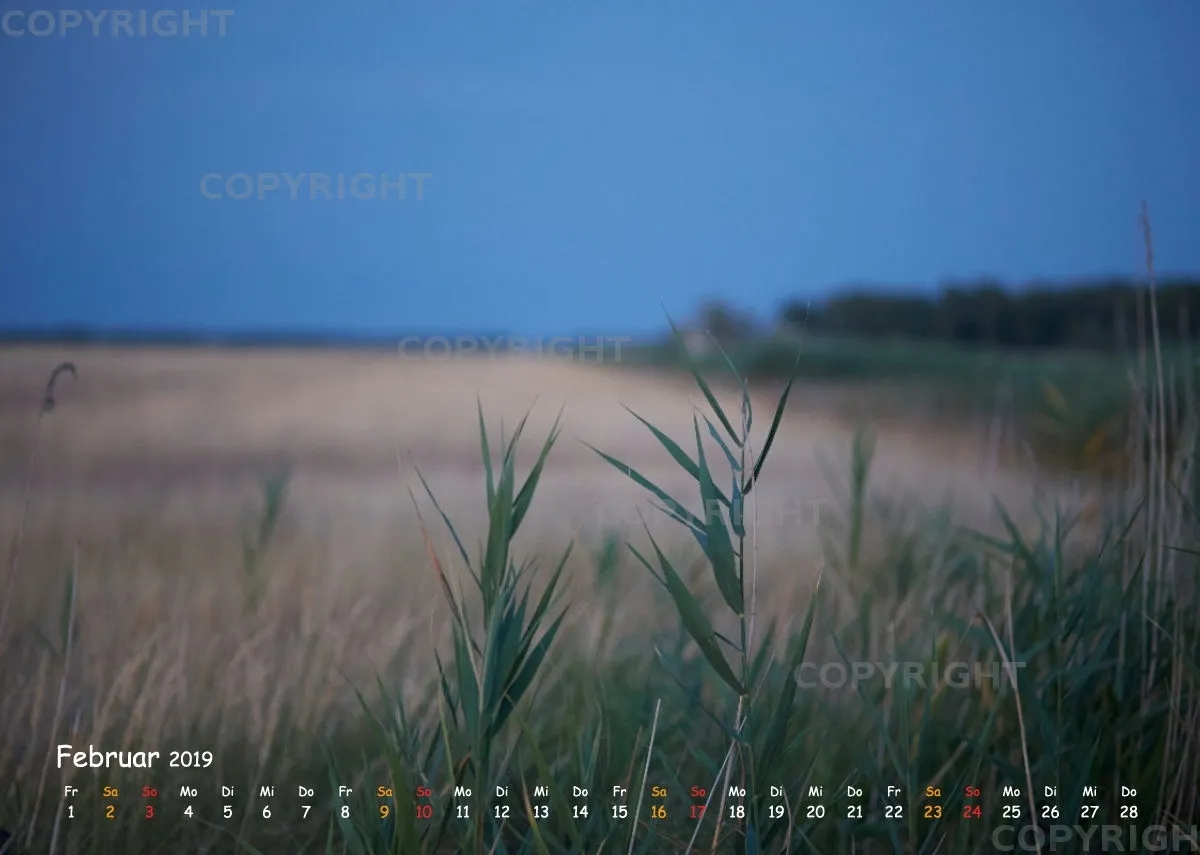 Puszta
