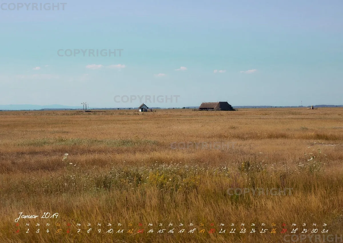 Puszta