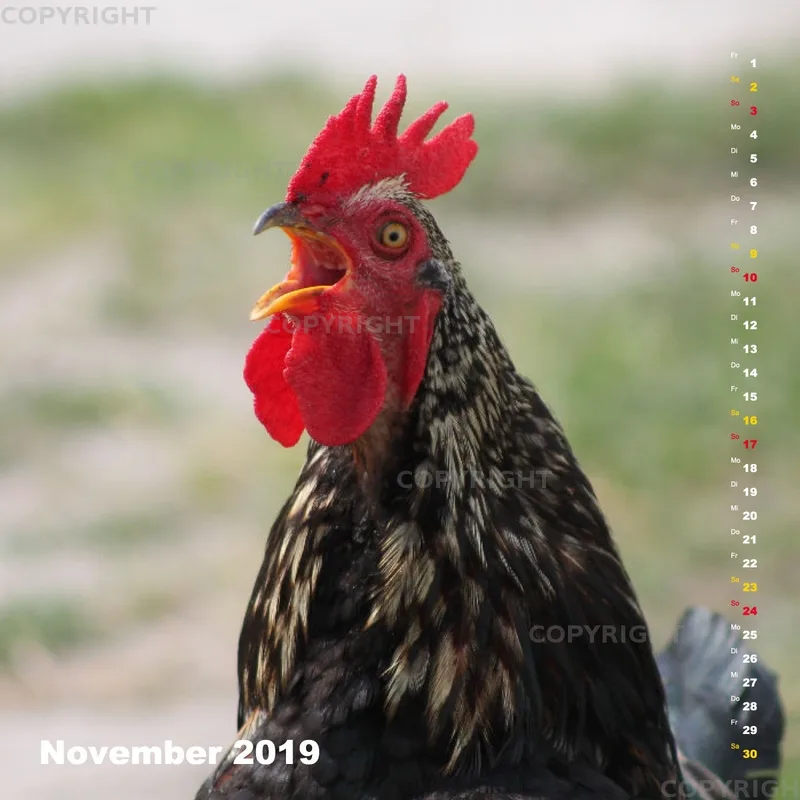Fotokalender / Nr. 24