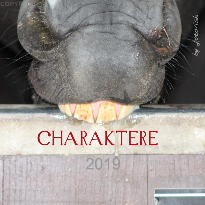 Fotokalender / Nr. 24