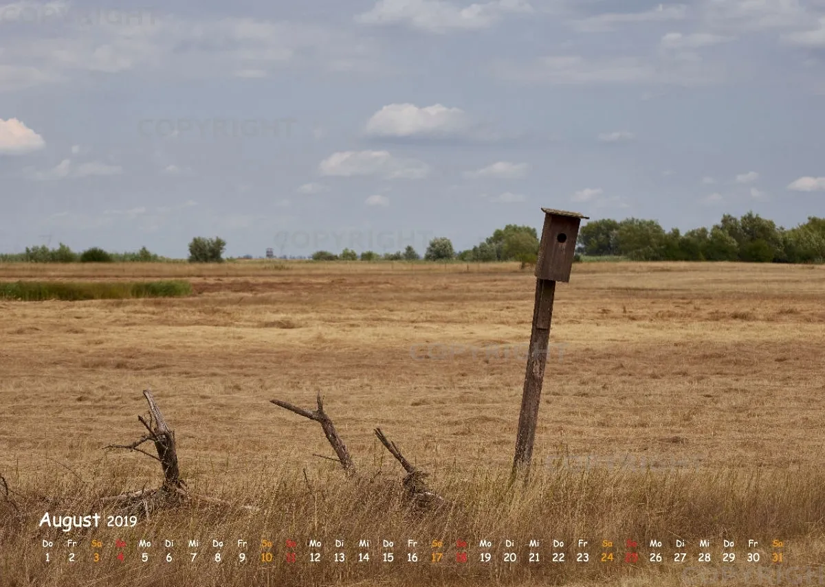 Puszta