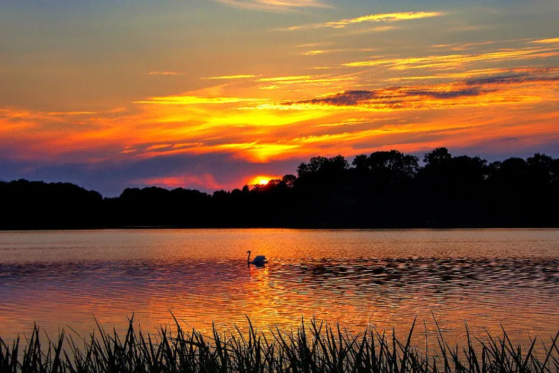 Sunset II
