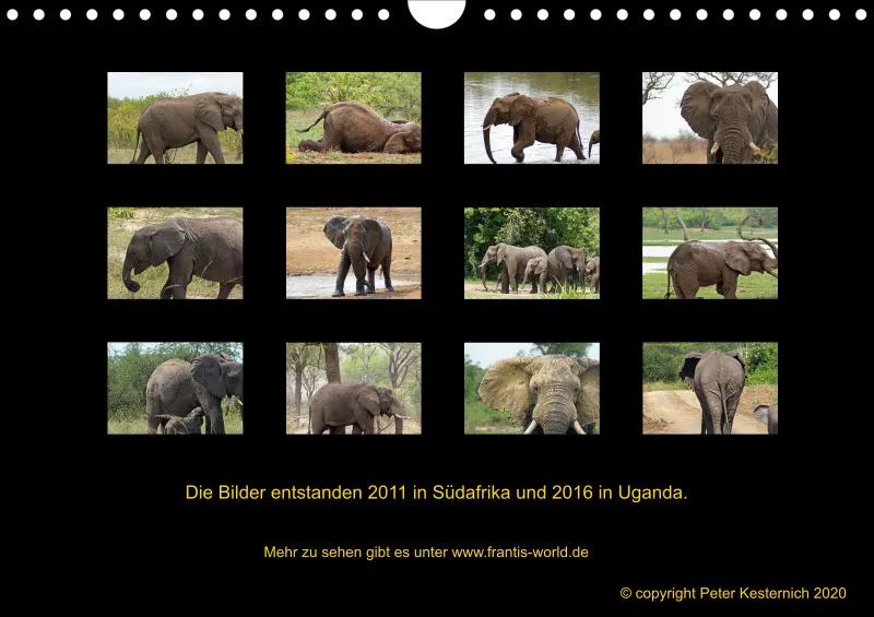 Frantis Safari - Afrikanische Elefanten - klein
