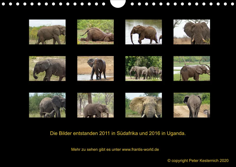 Frantis Safari - Afrikanische Elefanten - klein