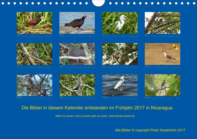 Birdwatching - Nicaragua - klein