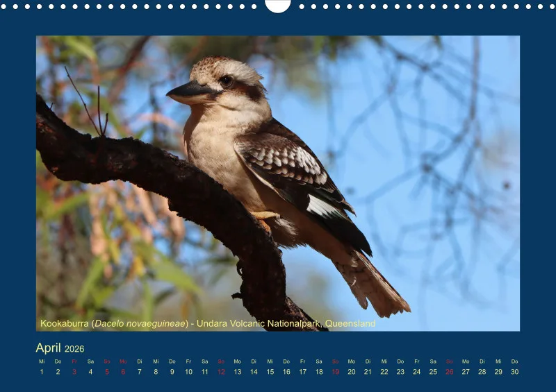 Birdwatching - Australien - Große Vögel