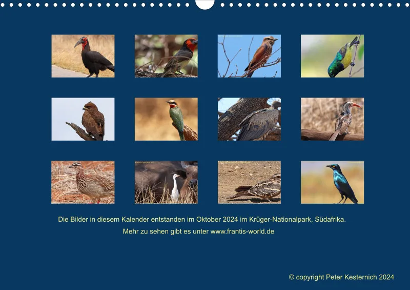 Birdwatching - Krüger-Nationalpark