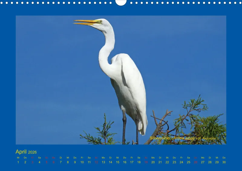 Birdwatching - USA - Florida