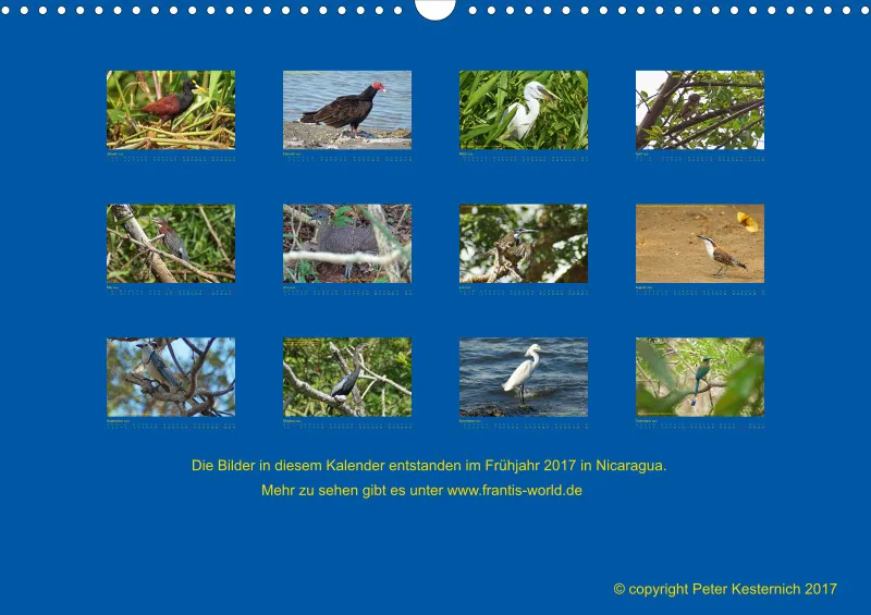 Birdwatching - Nicaragua