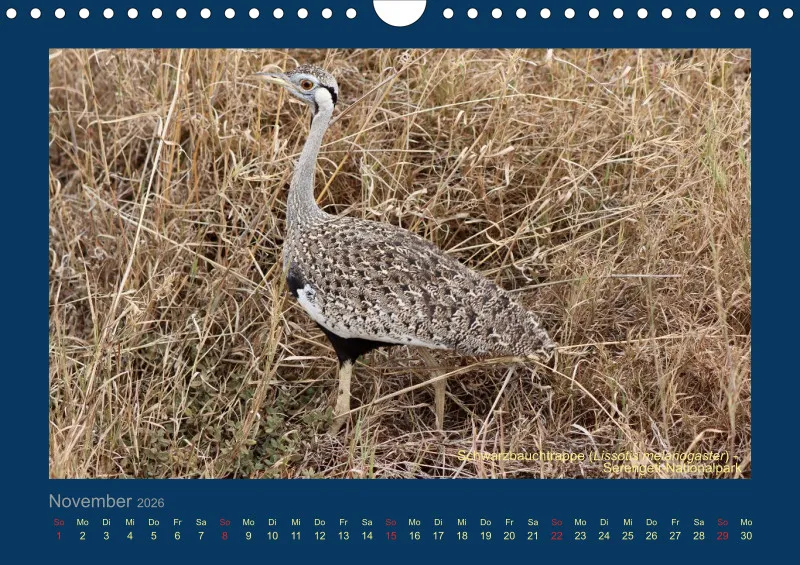 Birdwatching - Tansania - klein
