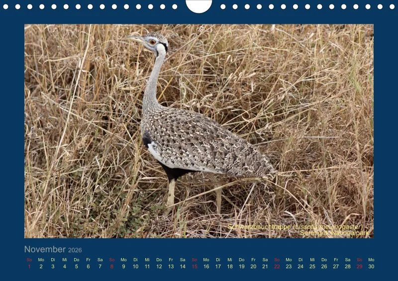 Birdwatching - Tansania - klein