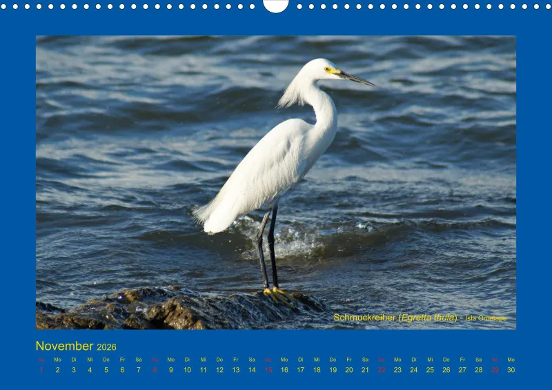 Birdwatching - Nicaragua