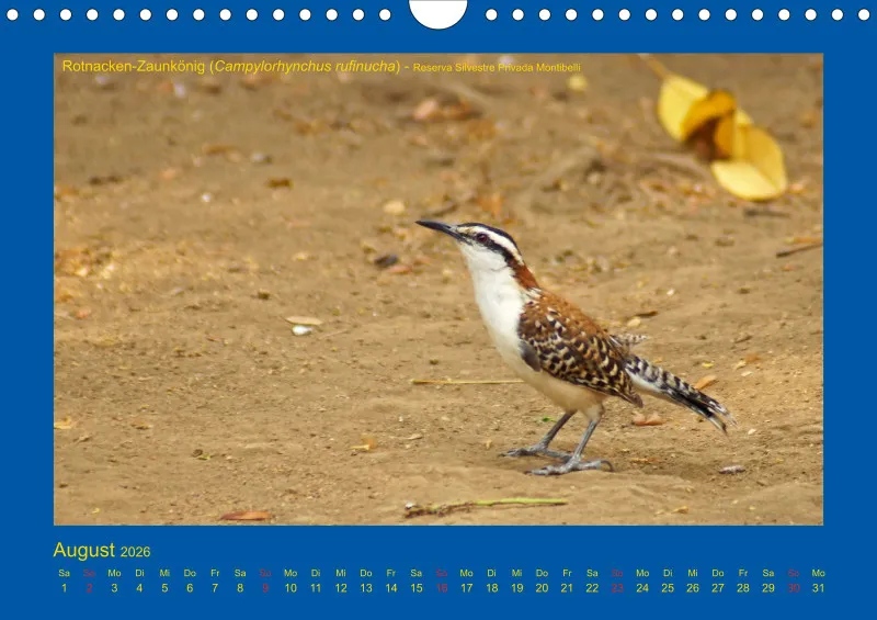 Birdwatching - Nicaragua - klein