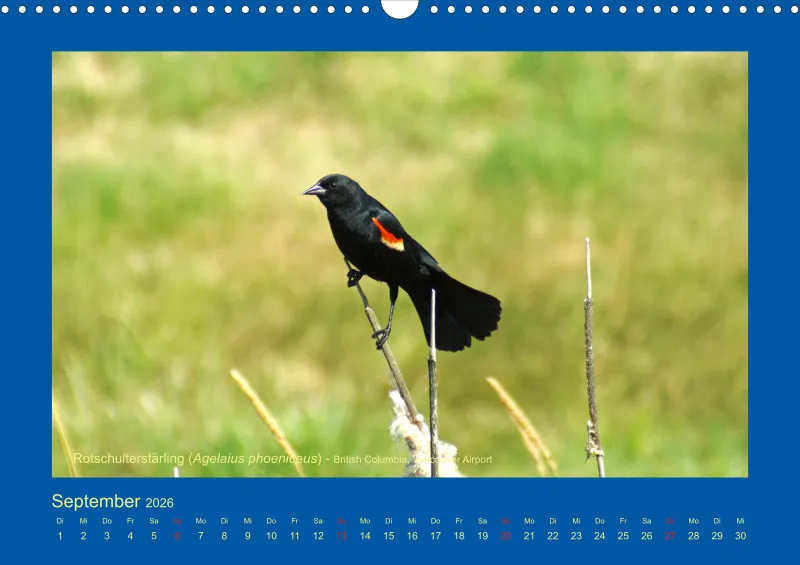Birdwatching - Kanada
