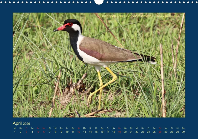 Birdwatching - Nepal