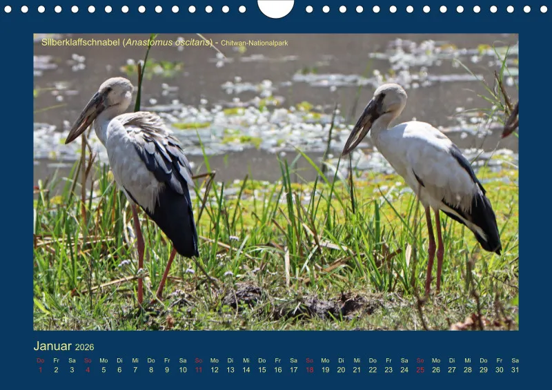 Birdwatching - Nepal