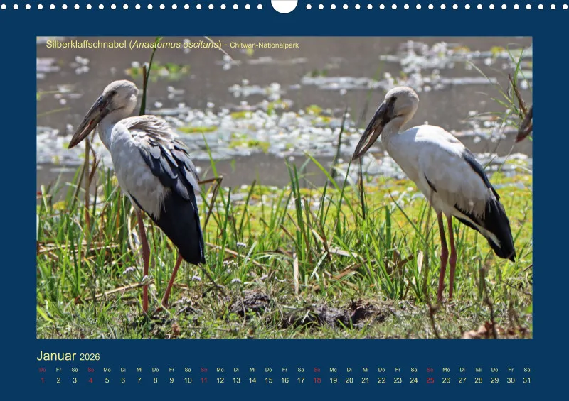Birdwatching - Nepal