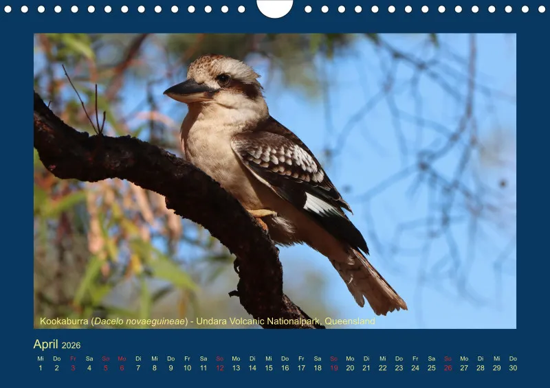 Birdwatching - Australien - Große Vögel - klein