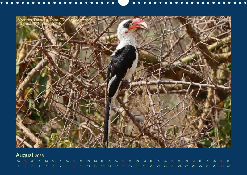 Birdwatching - Tansania
