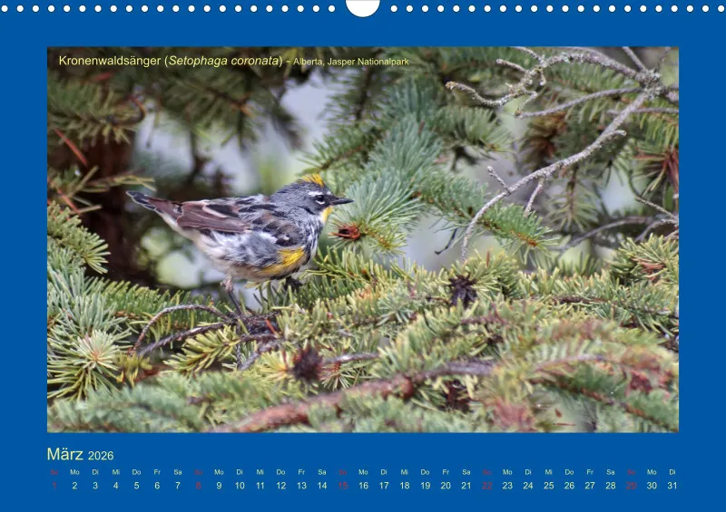Birdwatching - Kanada