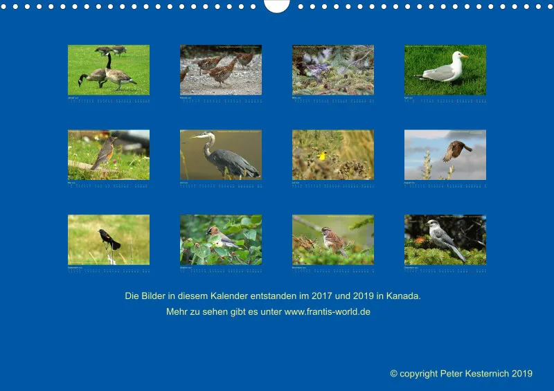 Birdwatching - Kanada