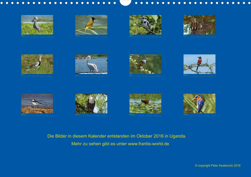 Birdwatching - Uganda
