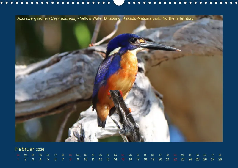 Birdwatching - Australien - Kleine Vögel