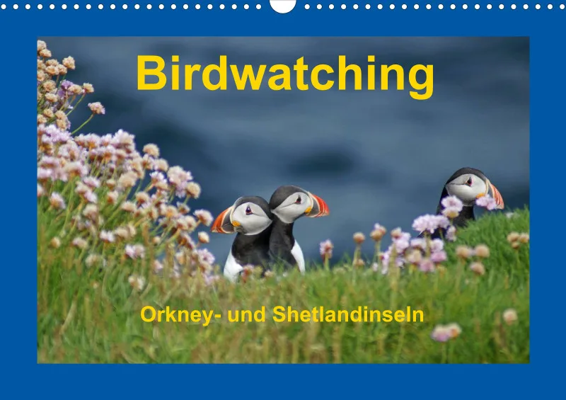 Birdwatching - Orkney- und Shetlandinseln