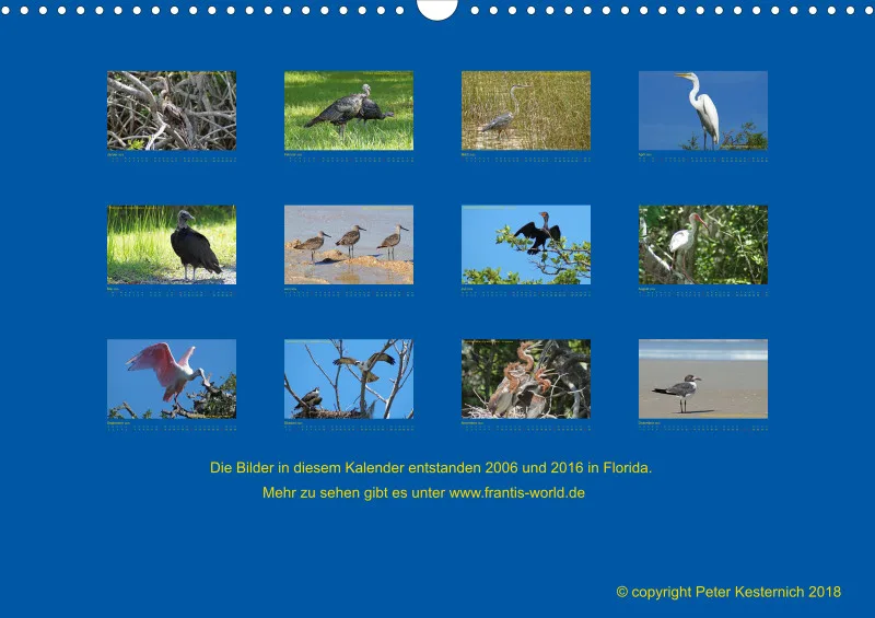Birdwatching - USA - Florida